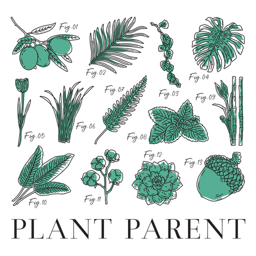 Plant parent nature composition  PNG Design