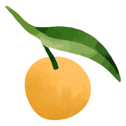 Orange and leaf textured PNG Design