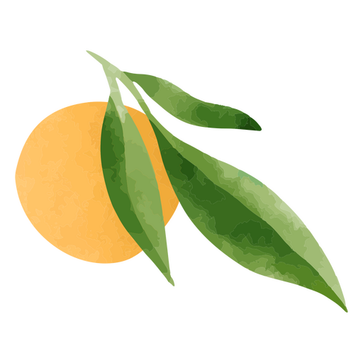 Orange and stem textured PNG Design
