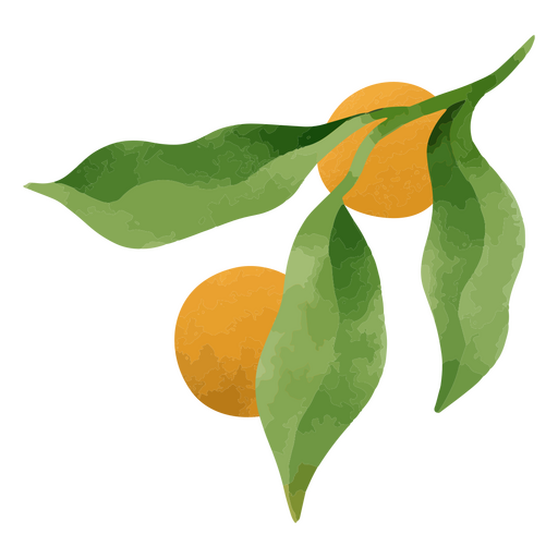 Oranges and leaves textured PNG Design