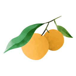 Paar Orangen und Blätter strukturiert PNG-Design Transparent PNG