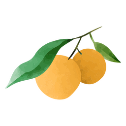 Pair of oranges and leaves textured PNG Design