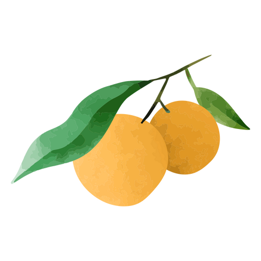 Par de laranjas e folhas texturizadas Desenho PNG