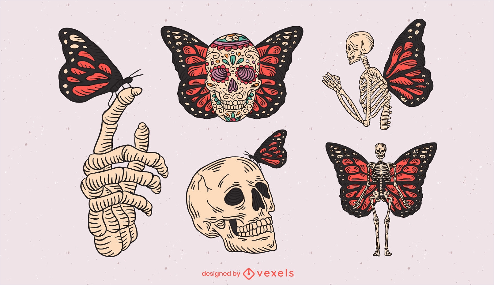 Conjunto de trazos de color de esqueletos y mariposas