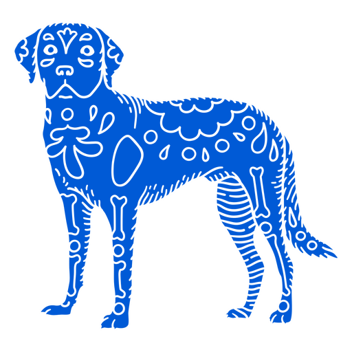 Cão Labrador Otomi Detalhado Desenho PNG