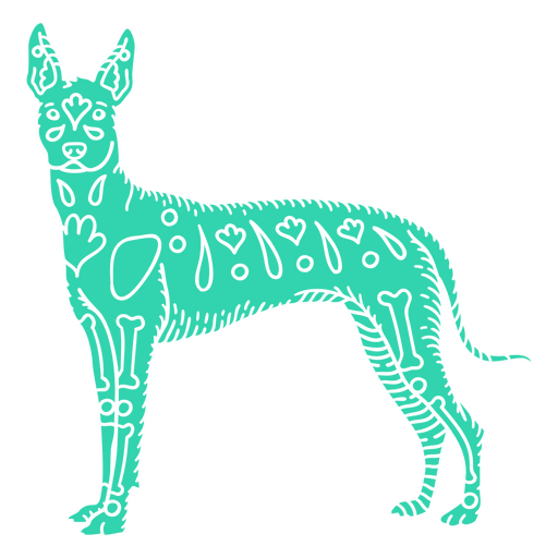 Cão Otomi Xoloitzcuintle detalhado Desenho PNG