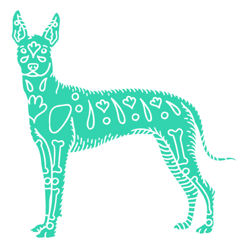 Detailed Otomi Xoloitzcuintle Dog PNG Design