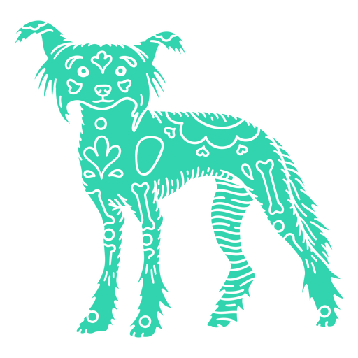 Cão de crista chinês Otomi detalhado Desenho PNG