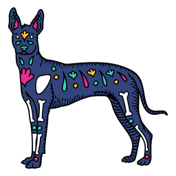 Mexican Otomi Xoloitzcuintle Dog PNG Design Transparent PNG