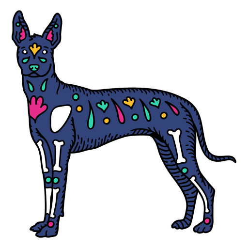 Cão mexicano Otomi Xoloitzcuintle Desenho PNG