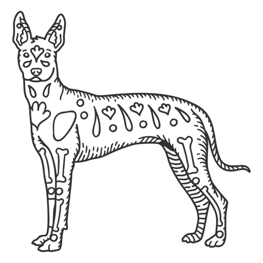 Cão desenhado à mão Doberman Desenho PNG