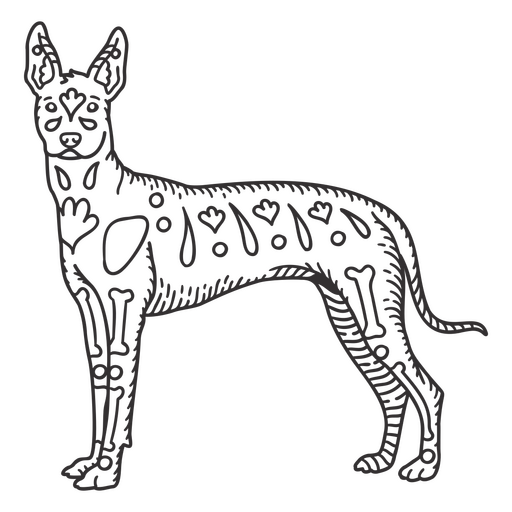 Dobermann handgezeichneter Hund PNG-Design