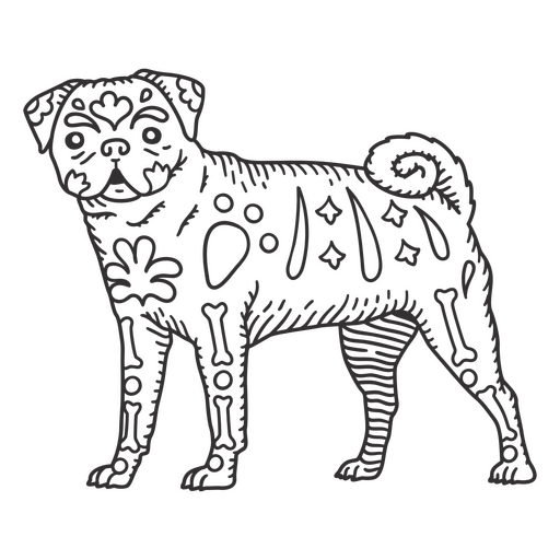 Pug cão desenhado à mão Desenho PNG