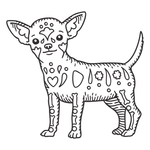 C?o desenhado ? m?o Chihuahua Desenho PNG