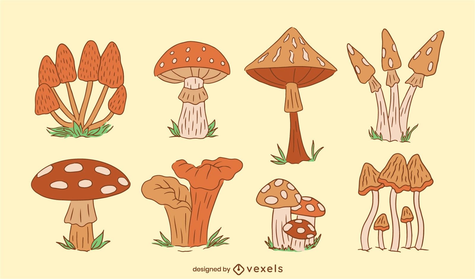 Mushrooms illustrations set color stroke