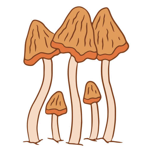 Cottagecore mushrooms nature PNG Design