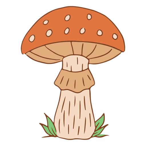 Cottagecore fungi mushroom