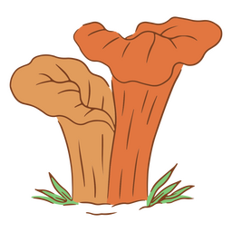 Cottagecore mushrooms fungi
