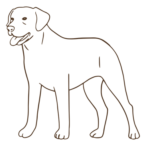 Labrador stroke PNG Design