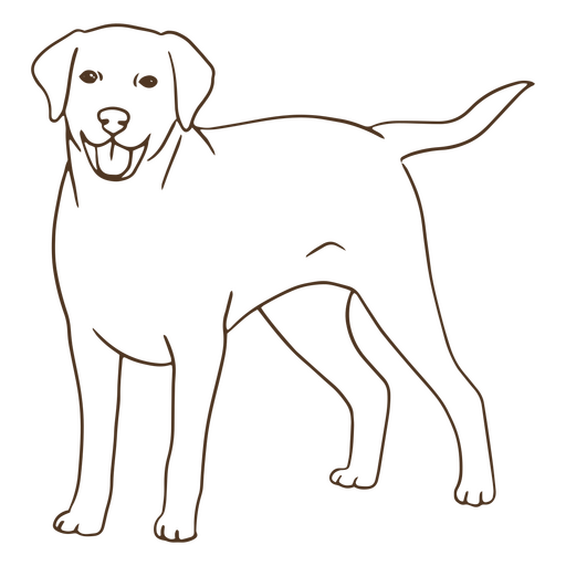 Labrador-Retriever-Schlaganfall PNG-Design
