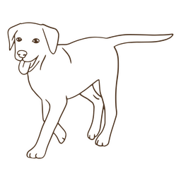 Golpe de labrador caminando Diseño PNG