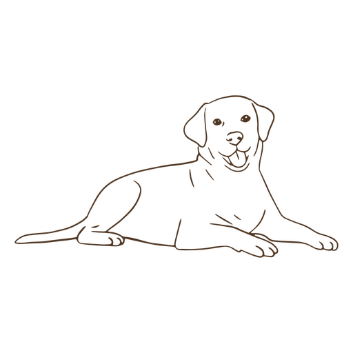 Colocación de trazo de labrador Diseño PNG