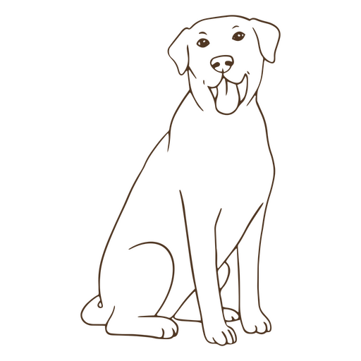 Labrador acidente vascular cerebral sentado Desenho PNG