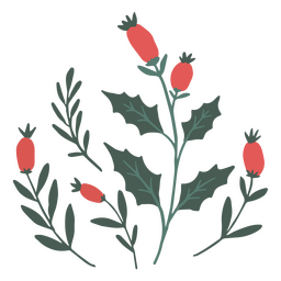 Ramas navideñas de muérdago Diseño PNG