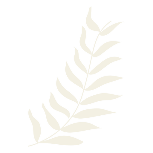 Clear plant branch icon PNG Design