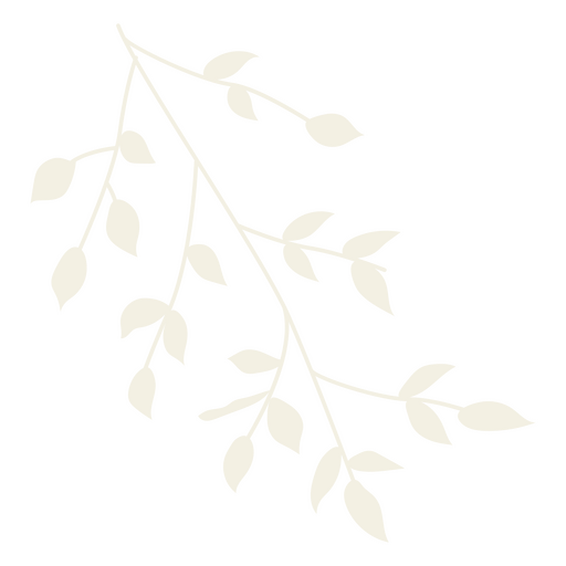 Delicate branch icon PNG Design