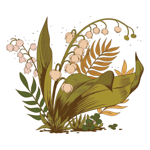 Detailed plants illustration PNG Design