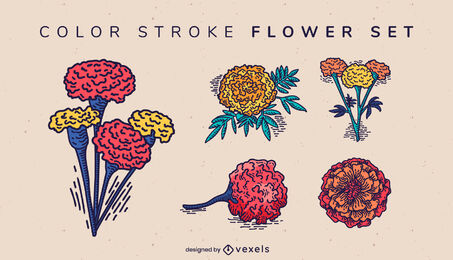 Marigold flower bouquets nature set