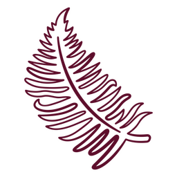 Bipinnate leaf stroke botanical PNG Design