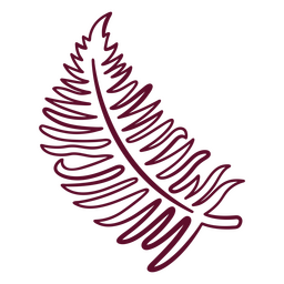 Curso de folha bipinada botânico Desenho PNG
