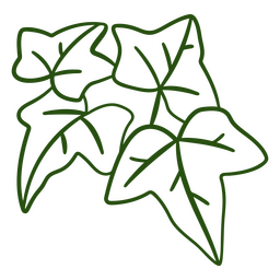 Trazo de hiedra botánico Diseño PNG