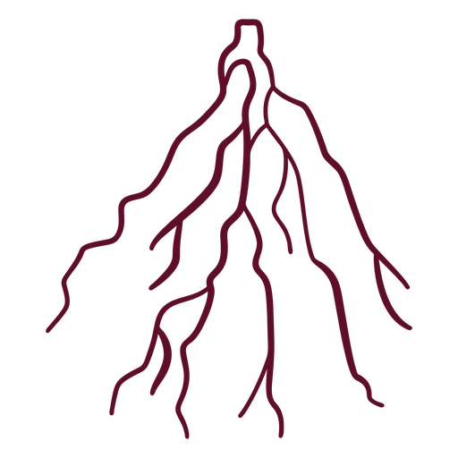 Roots stroke botanical PNG Design