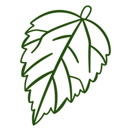 Dentale folha de curso botânico Desenho PNG