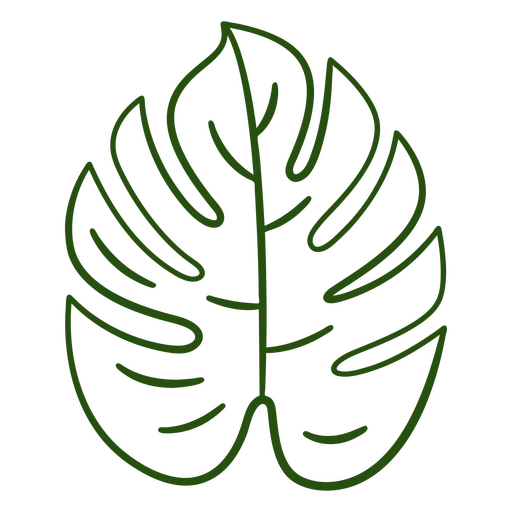 Botânica acidente vascular cerebral Monstera Desenho PNG