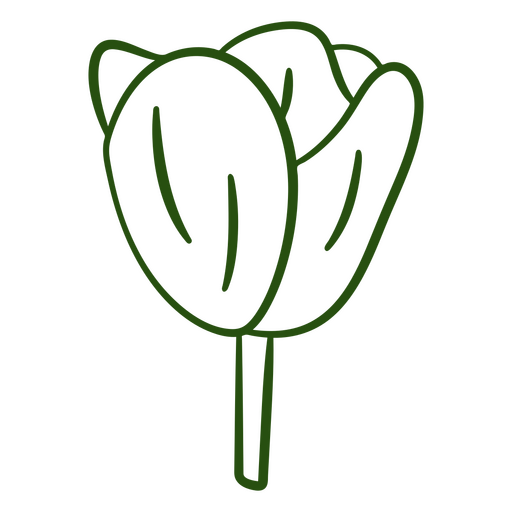 Botânico de traço de tulipa Desenho PNG