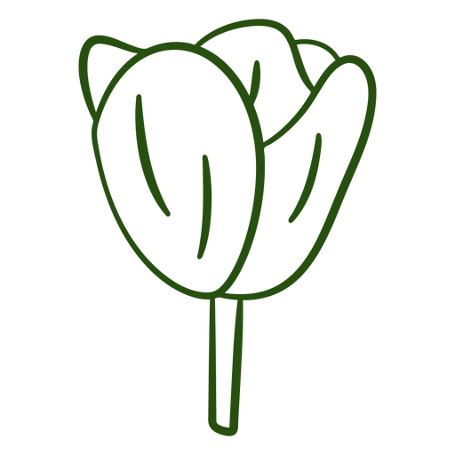 Tulip stroke botanical PNG Design