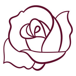 Rose stroke botanical
