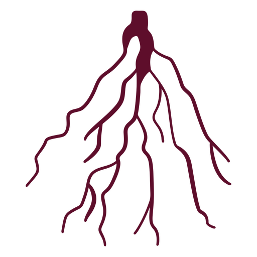 Wurzeln gefüllt botanisch PNG-Design