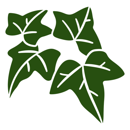 Ivy cortada botânica Desenho PNG