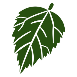 Dentale leaf cut out botanical PNG Design Transparent PNG