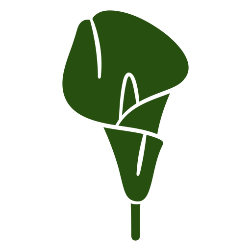 Calla-Lilie ausgeschnitten botanisch PNG-Design