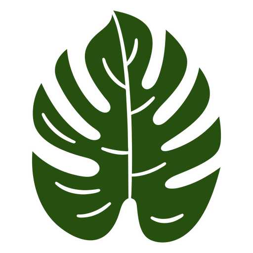 Monstera recortado botânico Desenho PNG