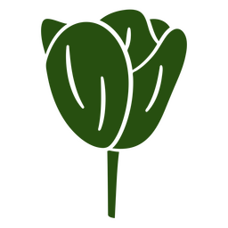 Tulip cut out botanical