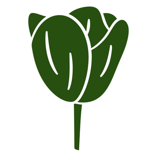 Tulipa cortada botânica Desenho PNG