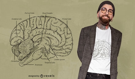 Fantastisches T-Shirt-Design für die Gehirnanatomie