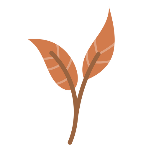 Brown pair of leaves PNG Design